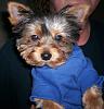 New Pictures of my little man-blue-hoodie.jpg