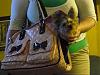 Gracies new Carrier!!!-gracie-her-new-carrier-001.jpg