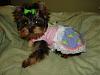 My Little Tarra In Dresses From Belinda And Wrap From Dr. Mitch-005.jpg