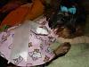 My Little Tarra In Dresses From Belinda And Wrap From Dr. Mitch-013.jpg