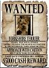 Wanted Poster-yorkbuck.jpg