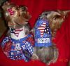 Let Freedom Ring! Jazzie & Zander Ready for the 4th!-jzback.jpg