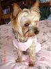 Pictures of Princess!-dsc01195.jpg