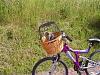 WOOHOO ..... we are going for a Bikeride .....-picture-009-small-.jpg