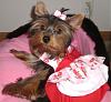 Pics of Sweet Kikki Mei In her New Dress!-kikkiinnewdress2008-003.jpg