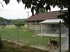 Sampson & Chunky love their new fenced area!-012.jpg