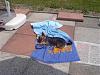 Fun In The Sun !!!!-picture-021-small-.jpg