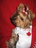 Happy Canada Day from Layla and I!!-img_3075.jpg