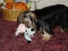 Sophie got new toys-album-5-059.jpg