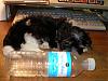 Axel finally home-big-water-bottle.jpg