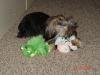 Sophie got new toys-album-5-067.jpg