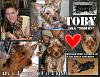 New 2 Yorkie Talk - Miss Molly & Toby-toby_collage1_small.jpg