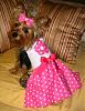Daisy in her PiNk SissyAngelWear Dress!!!-img_6177_l.jpg