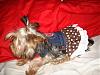 MeiLing in her denim dress from TinklebellsCloset-dsc06074-vi.jpg