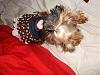 MeiLing in her denim dress from TinklebellsCloset-dsc06065-vi.jpg
