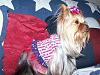 Layla wishes you Happy July 4th-100_1350.jpg