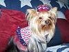 Layla wishes you Happy July 4th-100_1353.jpg