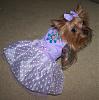 Chloe's new dresses by Jodie (luvmysissy)-purpledress2.jpg