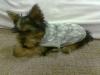 Kahlua's new clothes!-image003.jpg