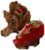 Princess Pia loves her new Go-Fetch dress!!-40-533-x-600-.jpg