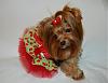 Princess Pia loves her new Go-Fetch dress!!-50-600-x-460-.jpg