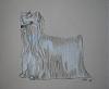Drawing my yorkie!-gigisketch.jpg