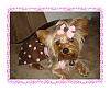 Koda's Pink Polka Dot Dress By Jodie-dsc02543.jpg