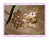 Koda's Pink Polka Dot Dress By Jodie-dsc02548.jpg