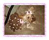 Koda's Pink Polka Dot Dress By Jodie-dsc02549.jpg