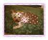 Koda's Pink Polka Dot Dress By Jodie-dsc02554.jpg