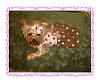 Koda's Pink Polka Dot Dress By Jodie-dsc02553.jpg