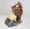 We Are BEE-autiful in Prissy Paw Fashions!-bee-rylie2.jpg