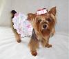 We Are BEE-autiful in Prissy Paw Fashions!-eyelet.jpg