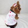 We Are BEE-autiful in Prissy Paw Fashions!-eyelet-2-.jpg