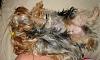 Yorkies Just Want To Have Fun & Sleep!-053.jpg