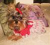 Pebbles modeling two dresses while she is half asleep! aww LoL!-mattieinnewreddressoct152007-002.jpg