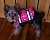 Look at this ADORABLE life jacket I found!!!!-nikkis-new-life-jacket-04-04-08-1-.jpg
