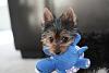 Photo tip-new-50mm-buster-pictures-023.jpg