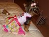 Martini's 1st BDay Pics-dsc010712222.jpg