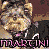 Martini's 1st BDay Pics-newmartiniavatar.gif