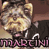 Martini's 1st BDay Pics-newmartiniavatar.gif