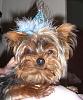 Baron's 1st Birthday!!-cimg2442b.jpg