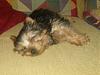 Sleepy time and play time!-picture-007.jpg