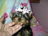 Maya Delaney is home...thank you Dina Nicole-dscn4041.jpg