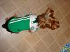 Diddy's Puppyzzang racing shirt-dsc01867.jpg