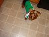 Diddy's Puppyzzang racing shirt-dsc01872.jpg
