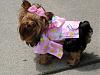 Haruka in YorkieGeorge's Dress (Kimono style)-haruka-dressed-up-0.jpg