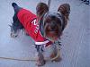 THANKS LINDA!! (fufufashions)-tucker-jersey-013.jpg