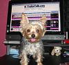 Shelby loves YT!!-cimg0703.jpg