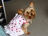 Nightie night!!!-dsc01264-600-x-450-.jpg
